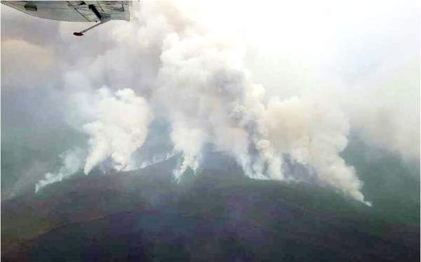 航空护林 航空护林
